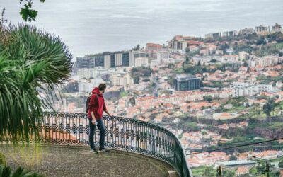 Top 10 Useful Portuguese Phrases for Visiting Madeira Island