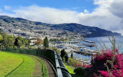 Why Madeira is the Perfect Place to Learn Portuguese?